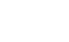 北京皮托爾科技股份有限公司-logo